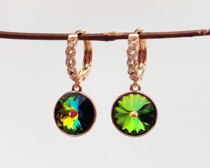 Earrings with Swarovski crystals R0284719007740