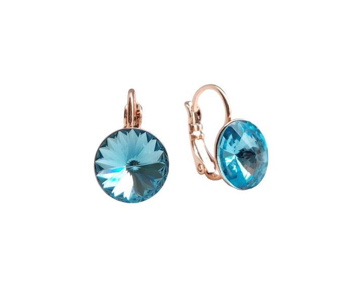 Earrings with Swarovski crystals 1 cm - 41