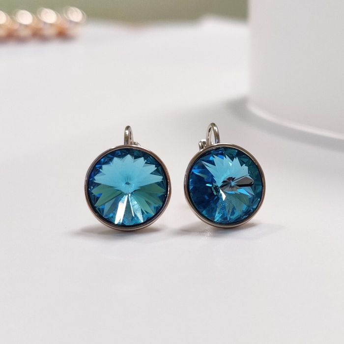 Earrings with Swarovski crystals R2479711007440