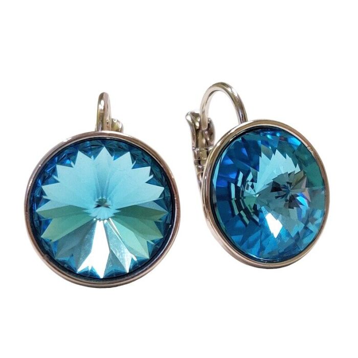 Earrings with Swarovski crystals R2479711007440