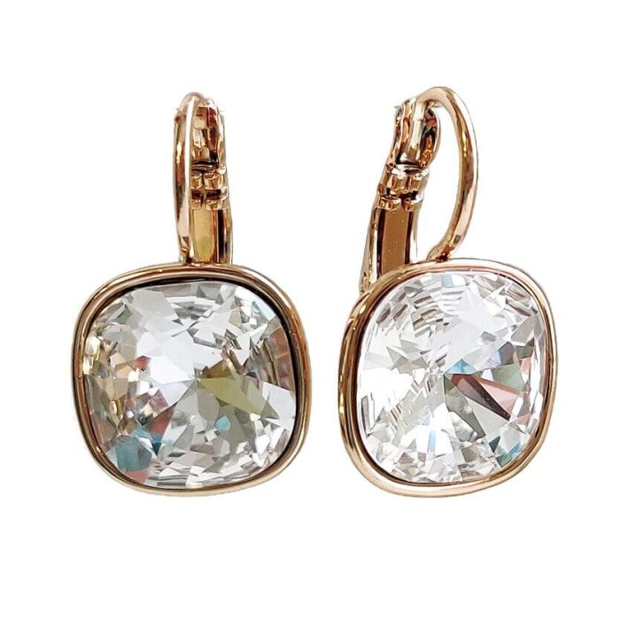 Earrings with Swarovski crystals R2569725007890