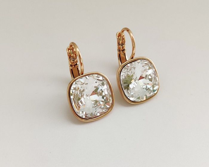 Earrings with Swarovski crystals R2569725007890