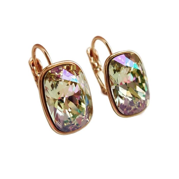 Earrings with Swarovski crystals R2594725007990