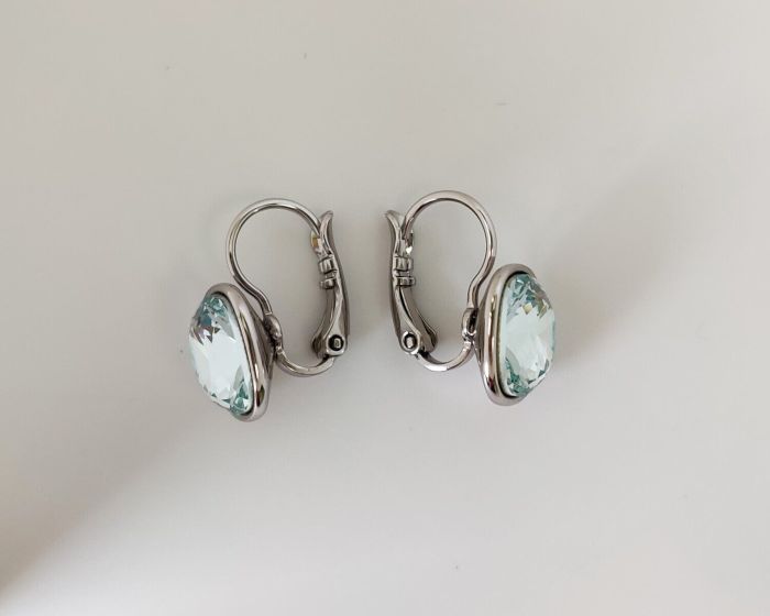 Earrings with Swarovski crystals R2603715007680