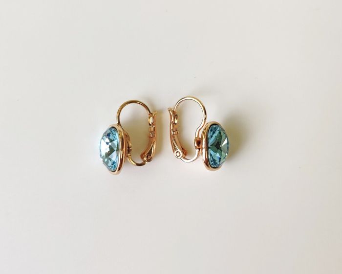 Earrings with Swarovski crystals R2606715007680
