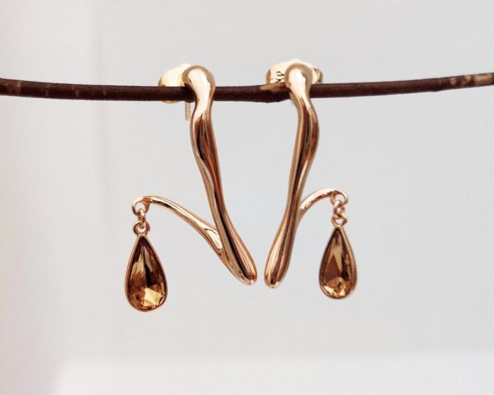 Earrings with Swarovski crystals R0972712007490