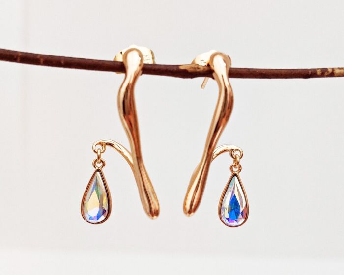 Earrings with Swarovski crystals R0973712007490