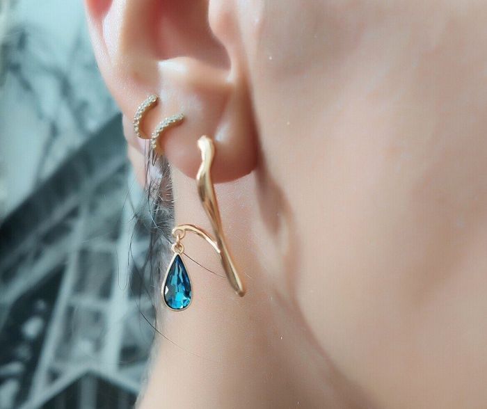 Earrings with Swarovski crystals R0975712007490