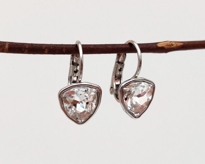 Earrings with Swarovski crystals R0982715007540