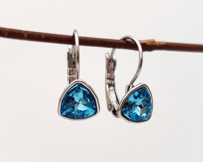 Earrings with Swarovski crystals R0983715007540