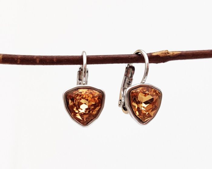 Earrings with Swarovski crystals R0984715007490
