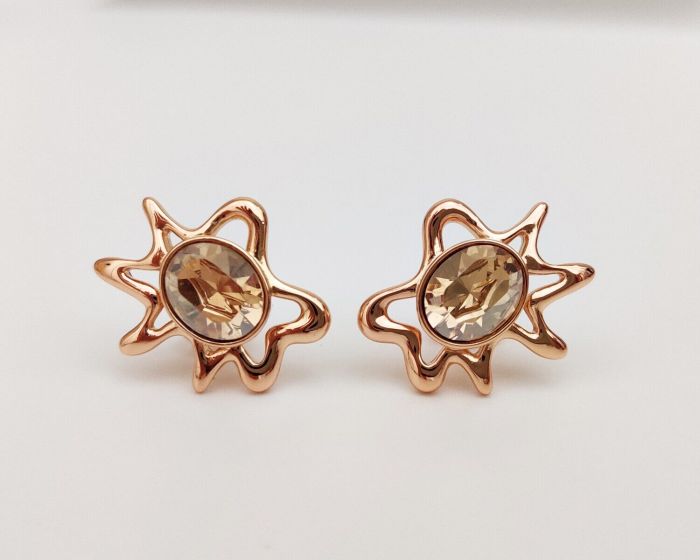 Earrings with Swarovski crystals R0985712007440
