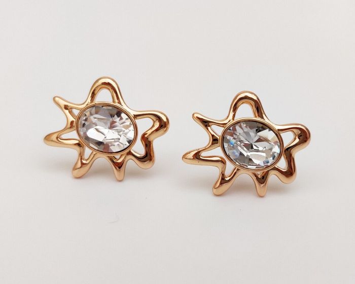 Earrings with Swarovski crystals R0987712007440