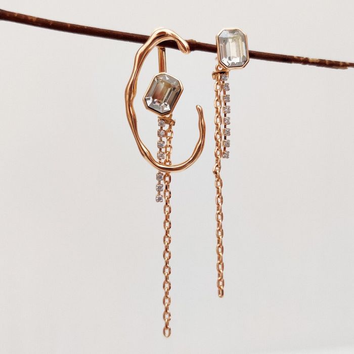 Earrings with Swarovski crystals R0991712007490