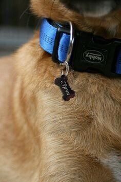 Dog tag with custom engraving DOG1.5 Black