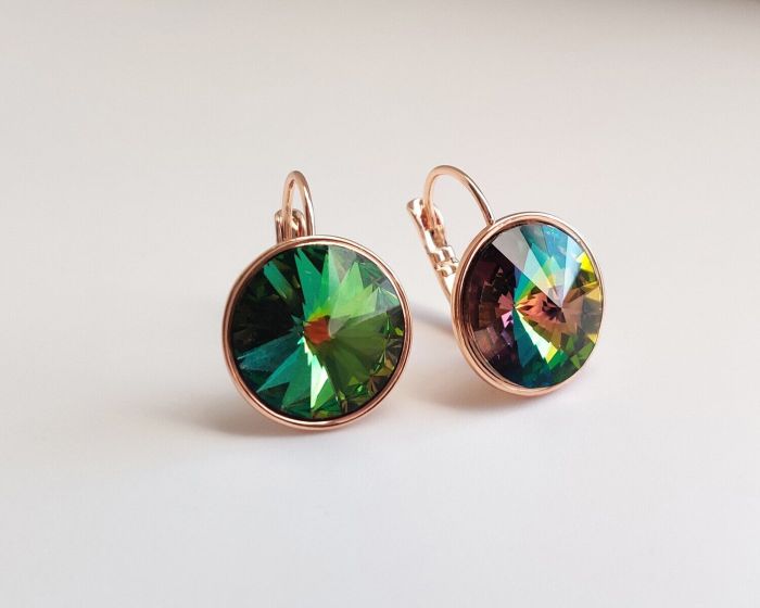 Earrings with Swarovski crystals R2475713007530