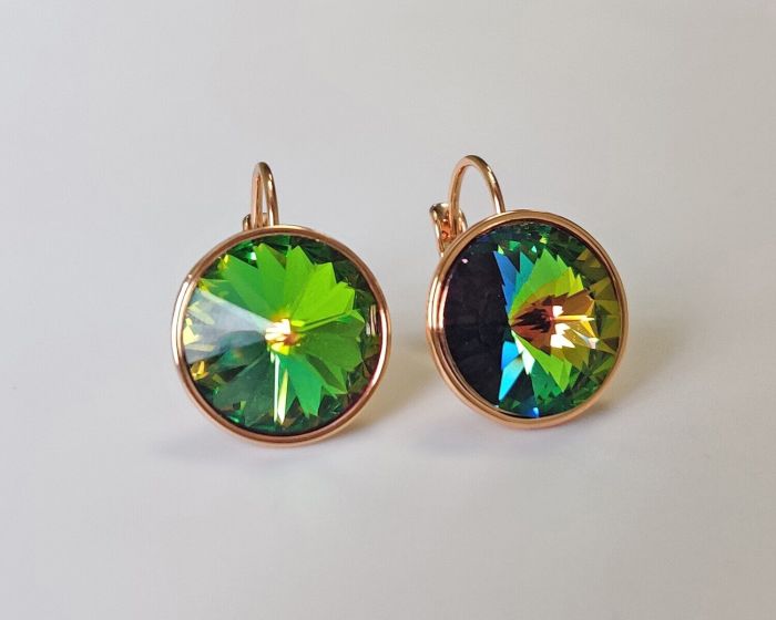 Earrings with Swarovski crystals R2475713007530