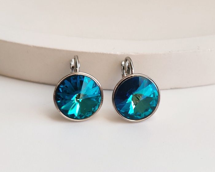 Earrings with Swarovski crystals R2480712007480
