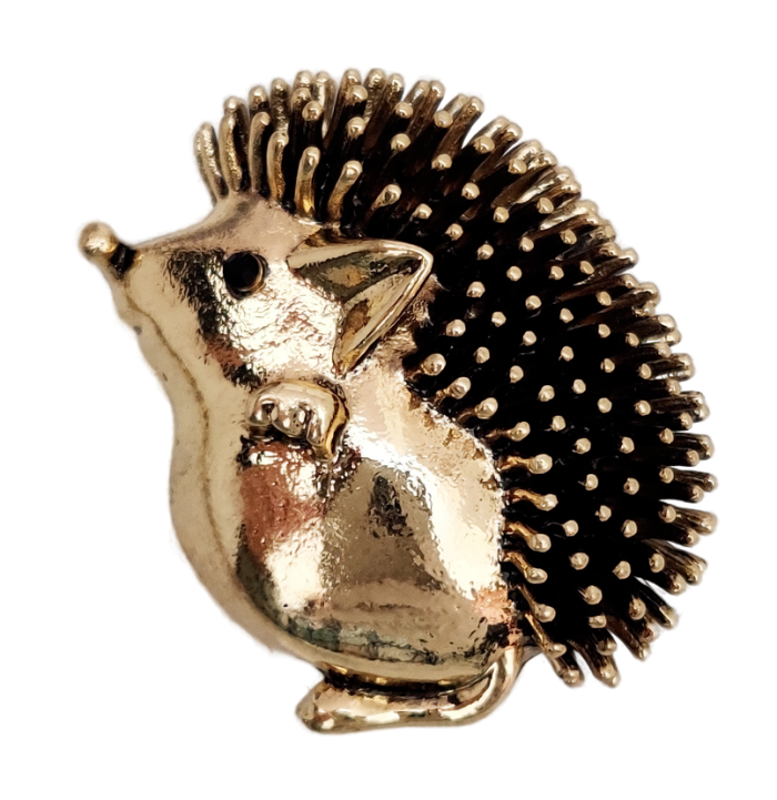 Hedgehog brooch R251874907170