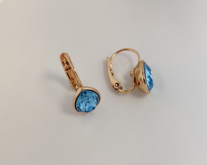 Earrings with Swarovski crystals R2545712007495