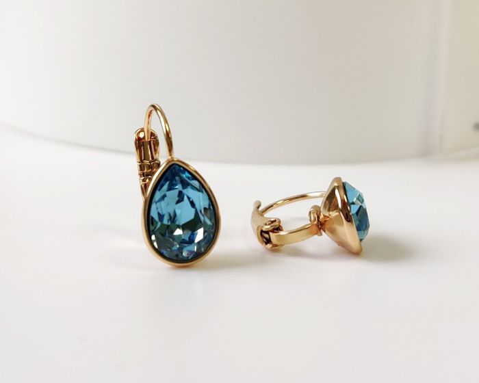 Earrings with Swarovski crystals R2545712007495