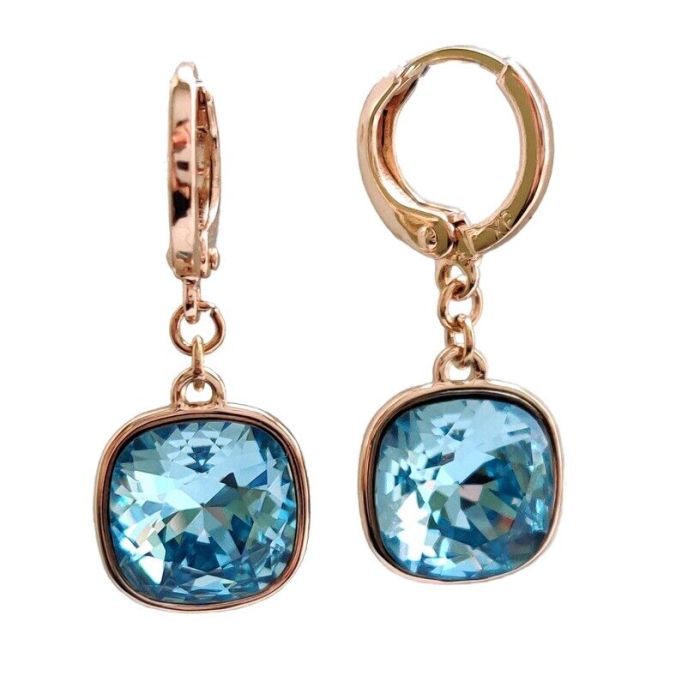Earrings with Swarovski crystals R2547719007790