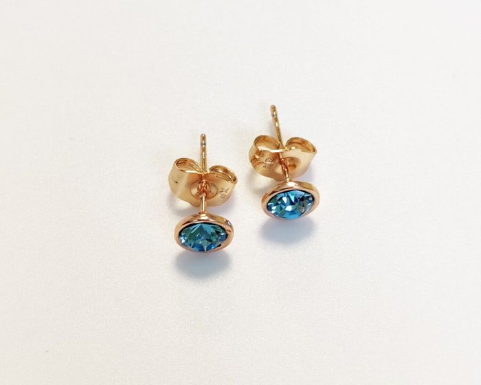 Earrings with Swarovski crystals R255275907220