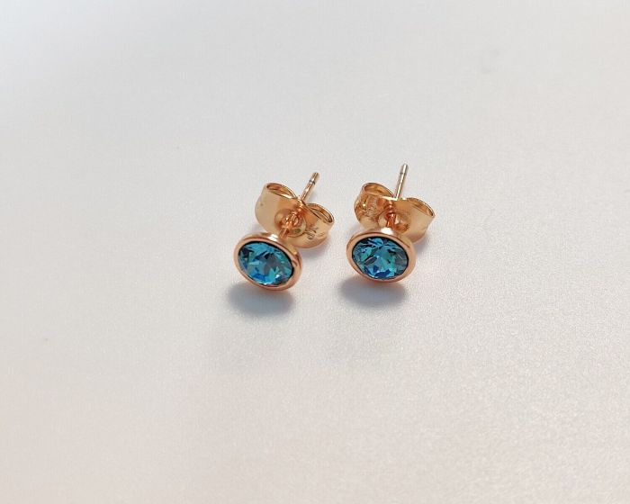 Earrings with Swarovski crystals R255275907220