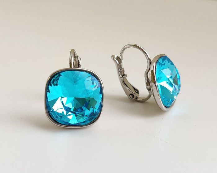 Earrings with Swarovski crystals R2567725007890