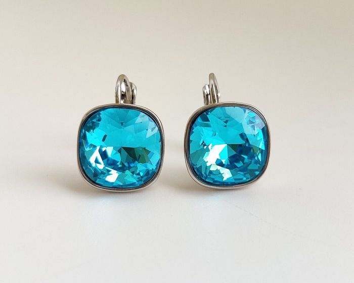 Earrings with Swarovski crystals R2567725007890