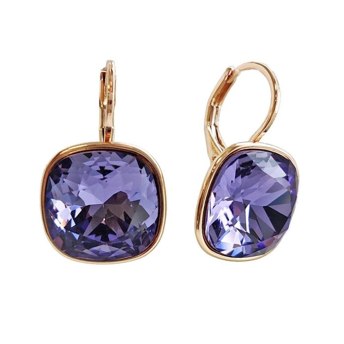 Earrings with Swarovski crystals R2570725007890