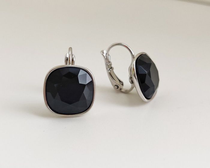 Earrings with Swarovski crystals R2572725007890