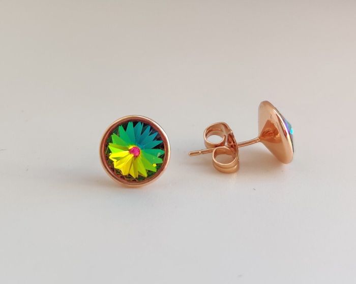 Earrings with Swarovski crystals R259078907350