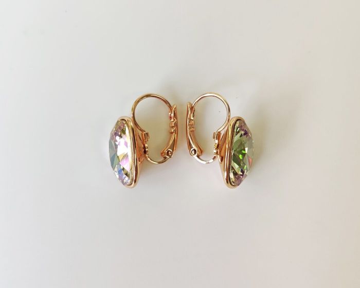 Earrings with Swarovski crystals R2594725007990