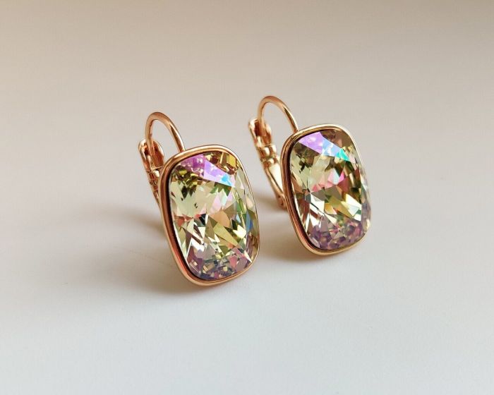 Earrings with Swarovski crystals R2594725007990