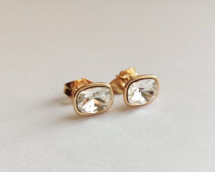 Earrings with Swarovski crystals R2599712007440