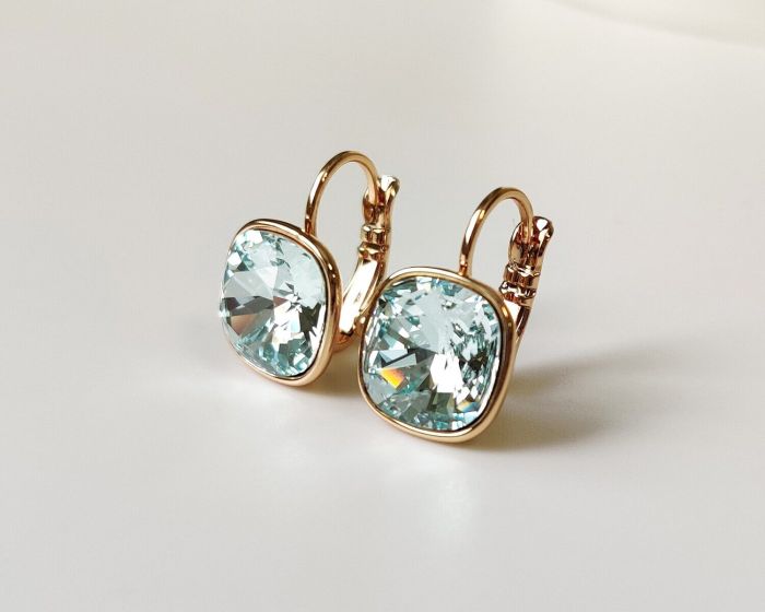 Earrings with Swarovski crystals R2604715007680