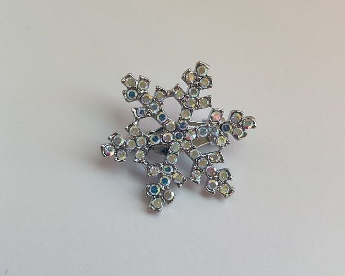 Snowflake Brooch R261075507180