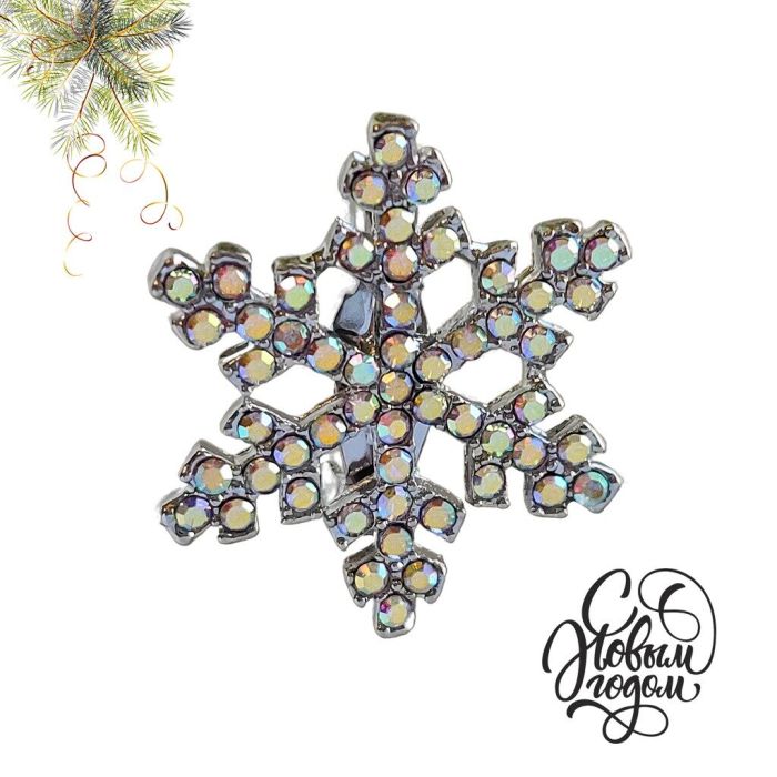 Snowflake Brooch R261075507180
