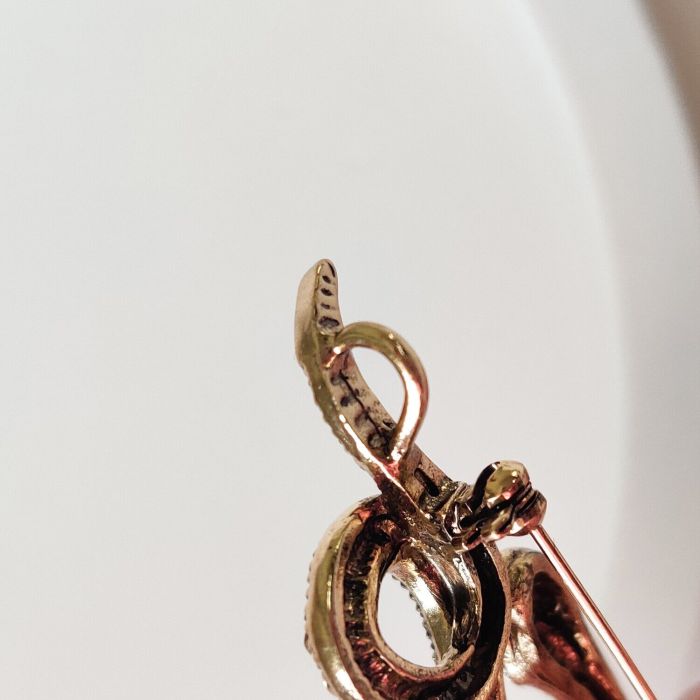 Snake pendant brooch R261775507180