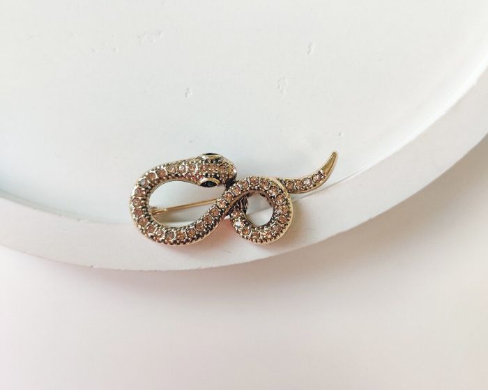 Snake pendant brooch R261775507180