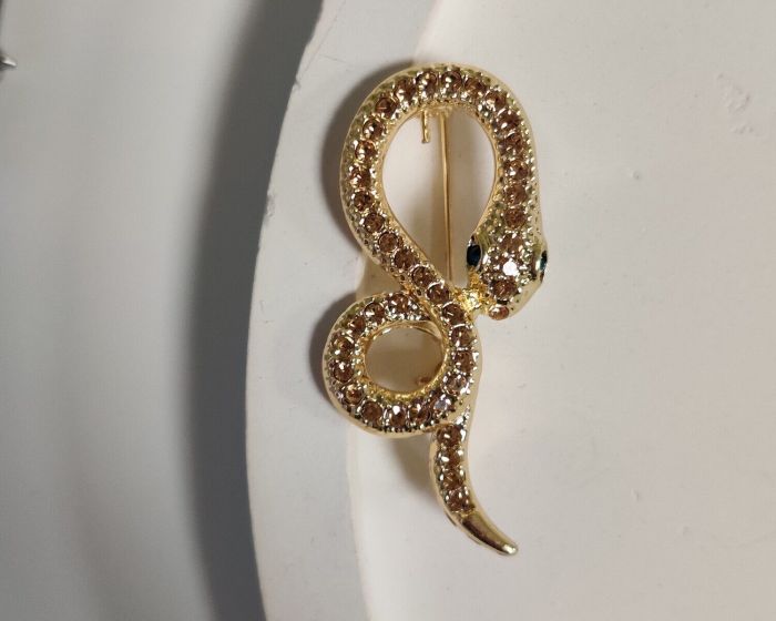Snake pendant brooch R261875507180