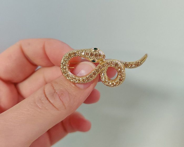 Snake pendant brooch R261875507180