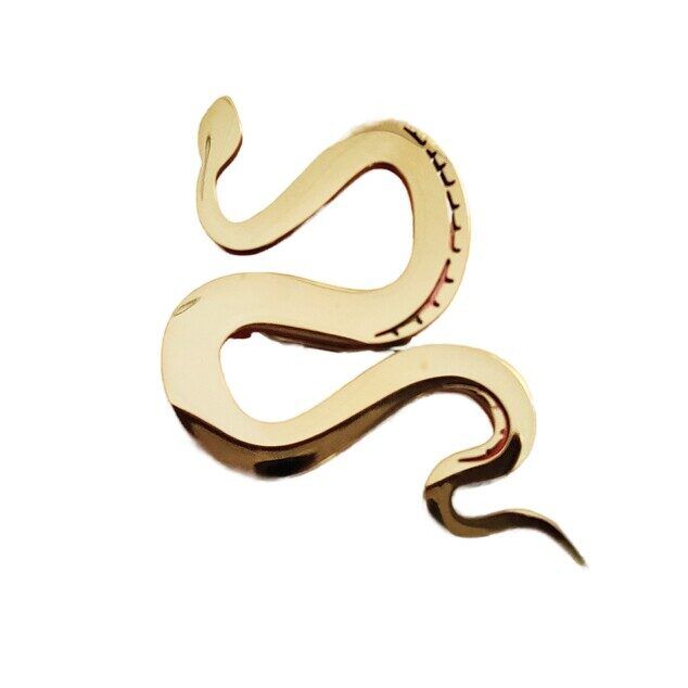 Snake Brooch R264574807170