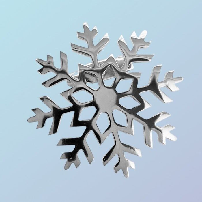 Steel brooch R267074507150