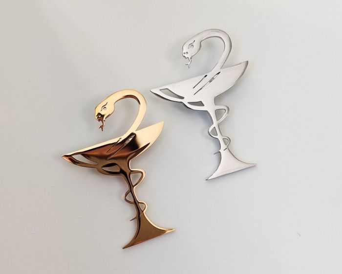 Steel brooch R267374807160