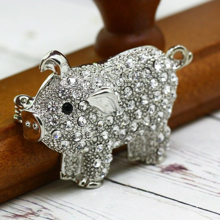Brooch 2019 NG-26 2019 NG-26
