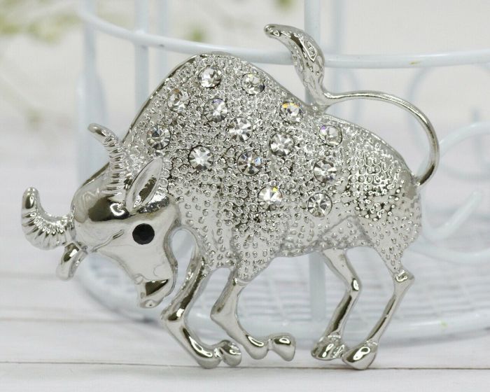 New Year Symbol Brooch F631673907140 F631673907140