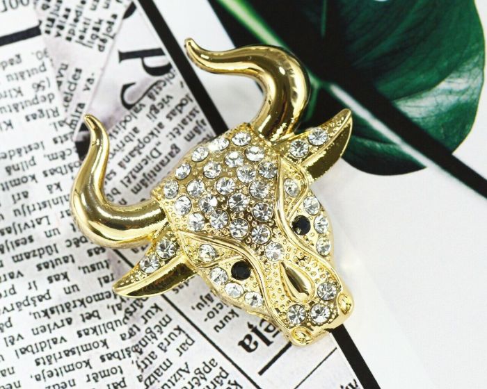 New Year Symbol Brooch F649473907130 F649473907130