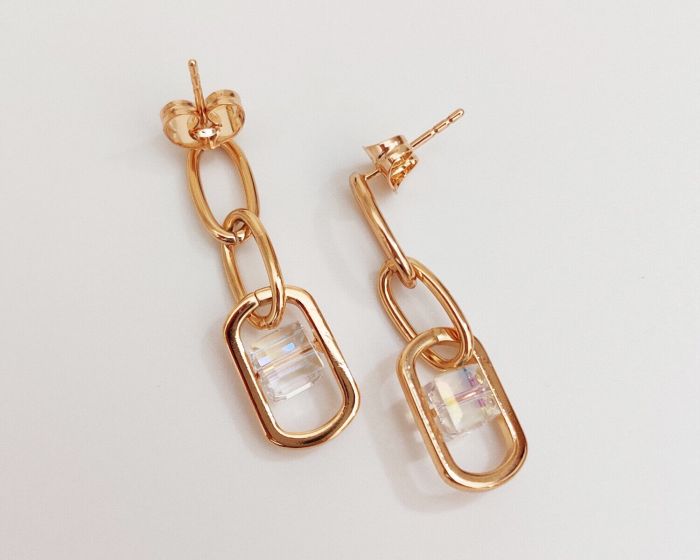 Earrings with Swarovski crystals R095479907390